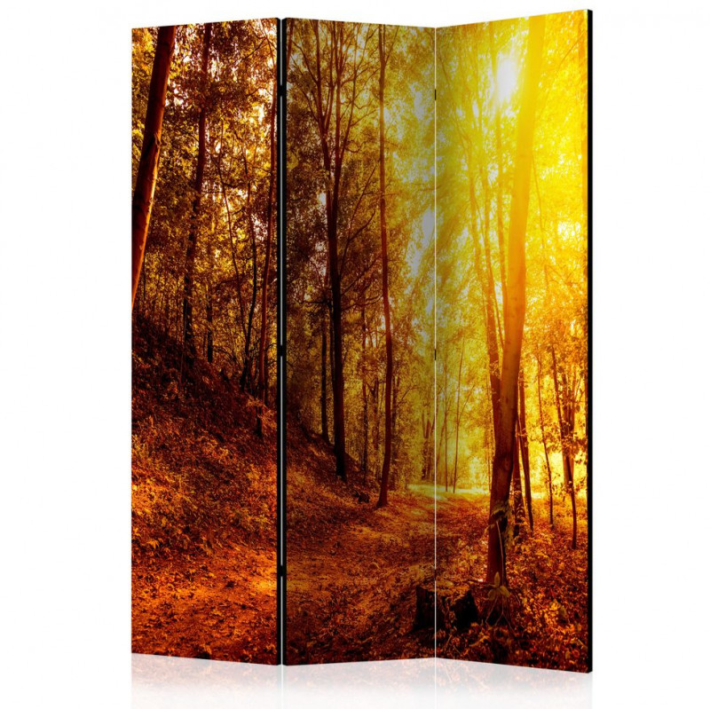 Paravan - Autumn Walk [Room Dividers]