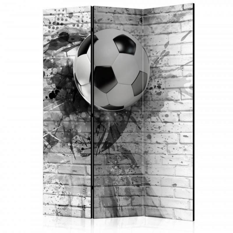 Paravan - Dynamic Football [Room Dividers]