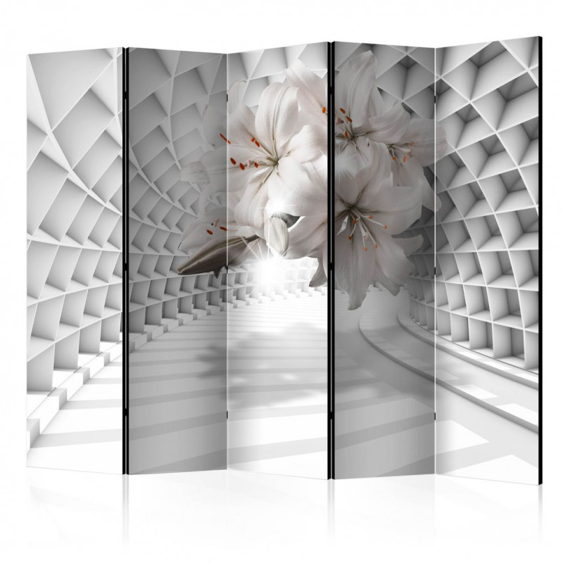 Paravan - Flowers in the Tunnel II [Room Dividers]