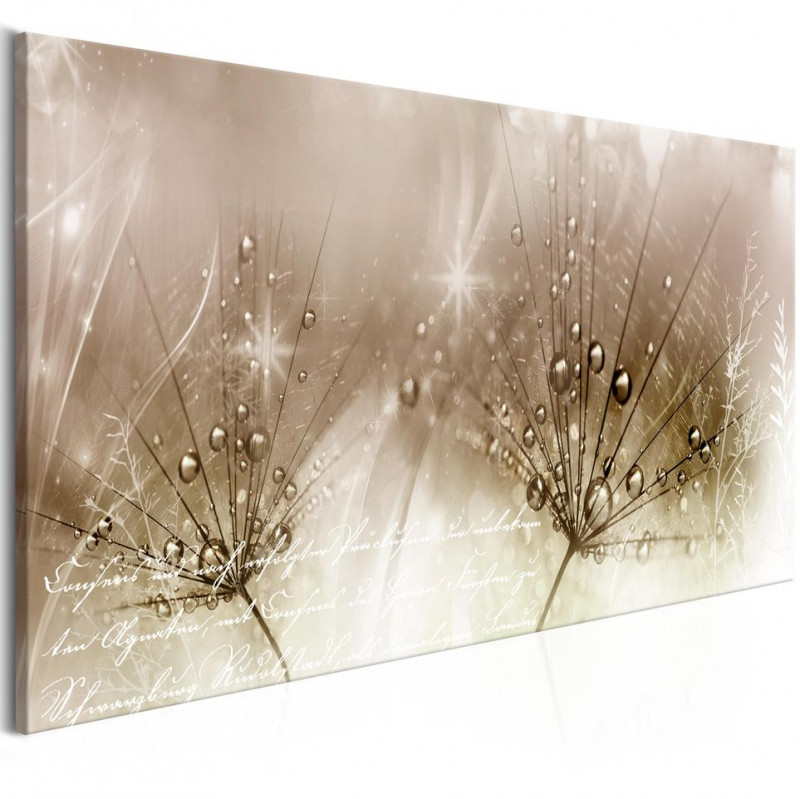 Tablou - Drops of Dew (1 Part) Brown Wide