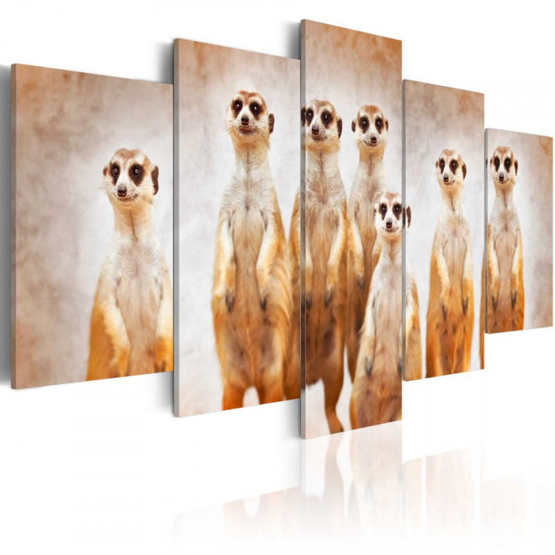 Tablou - Family of meerkats