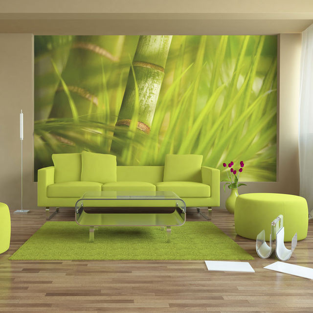 Fototapet - bamboo - nature zen