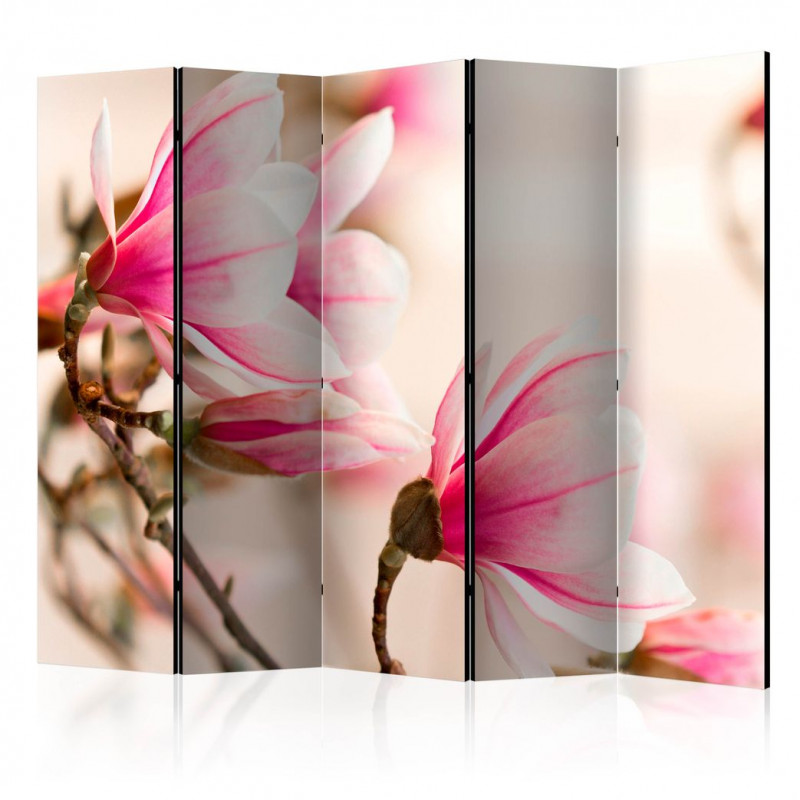 Paravan - Branch of magnolia tree II [Room Dividers]