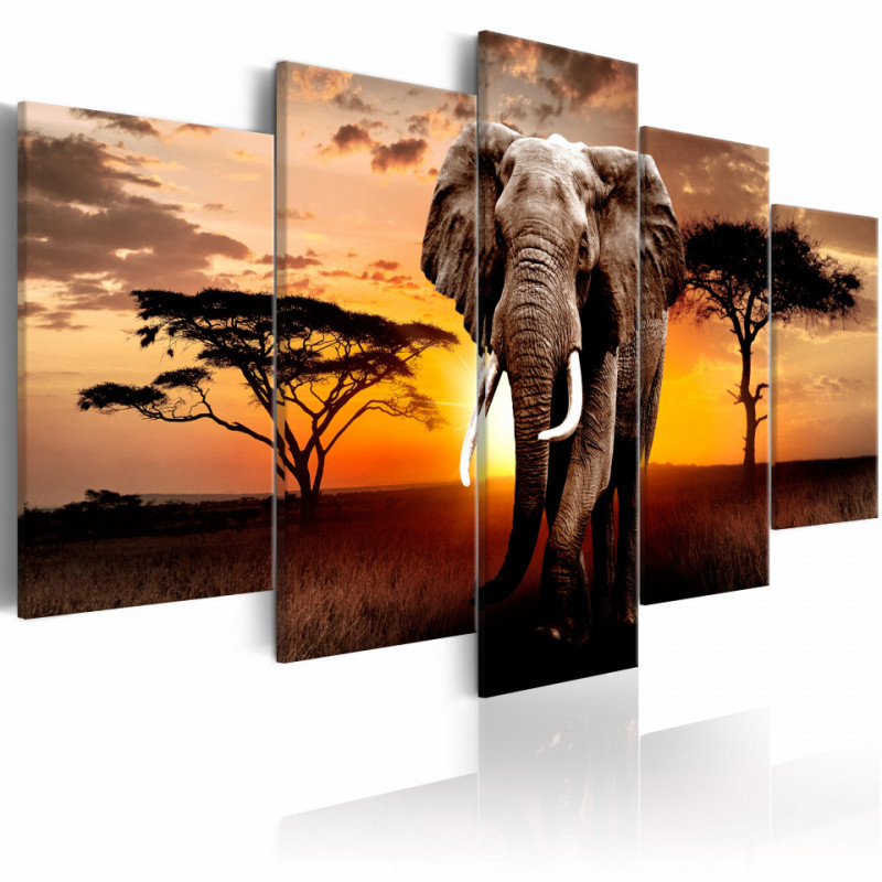 Tablou - Elephant Migration