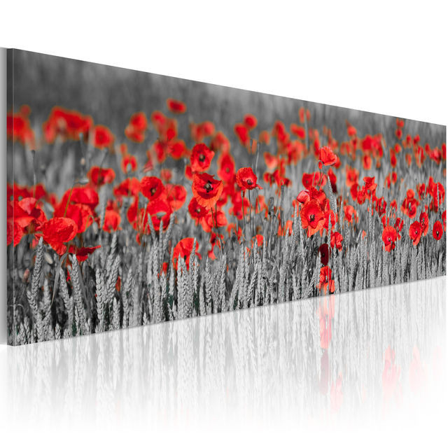 Tablou - Poppies among fields of wheat