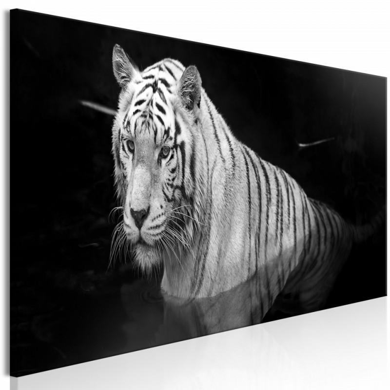 Tablou - Shining Tiger (1 Part) Black and White Narrow
