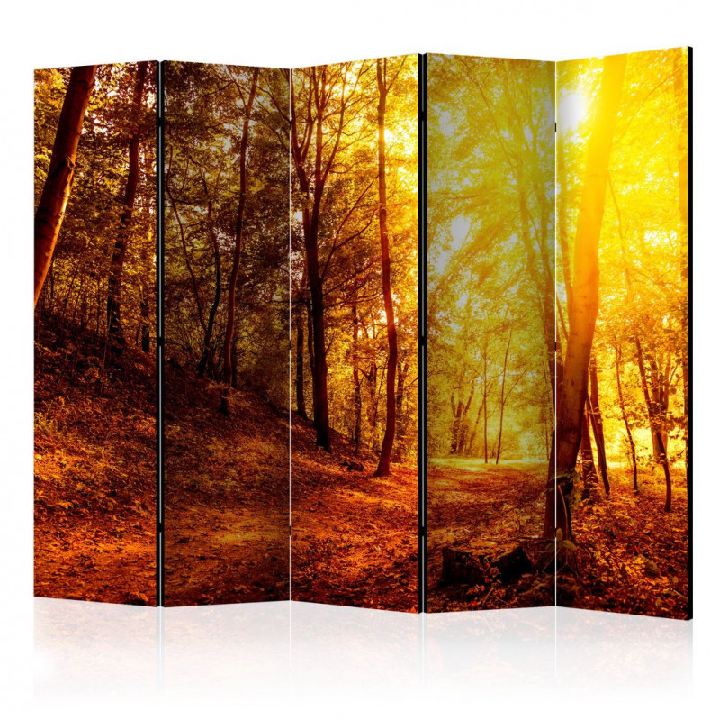 Paravan - Autumn Walk II [Room Dividers]