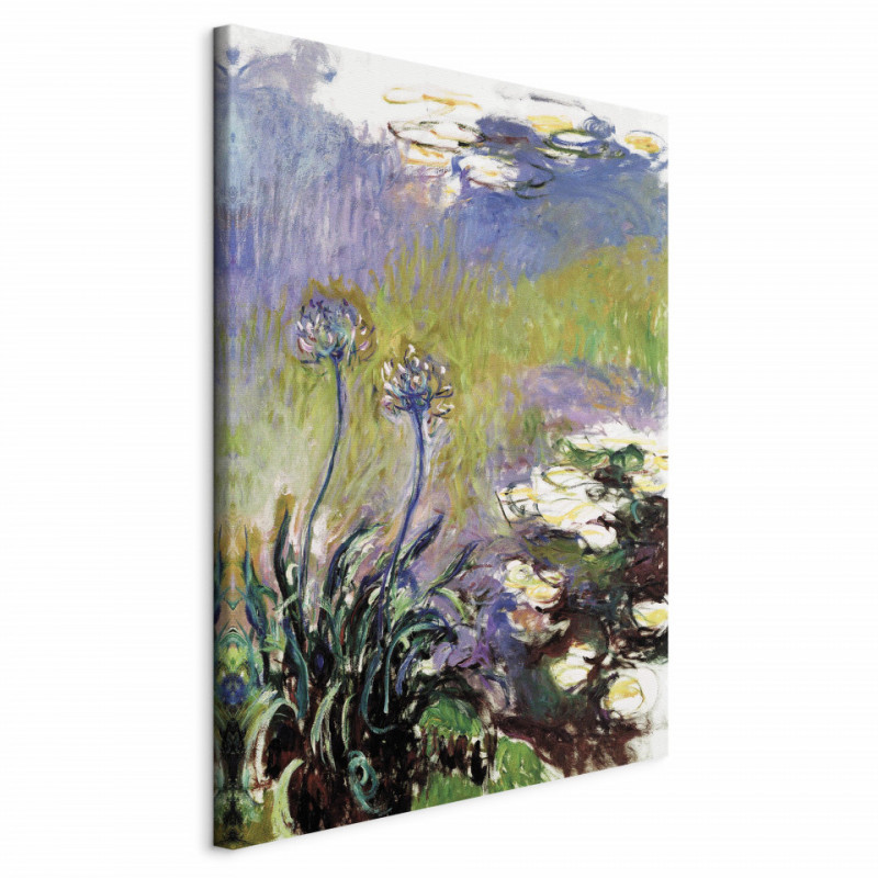 Tablou - Agapanthus