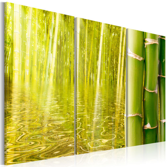 Tablou - Bamboo reflected on water