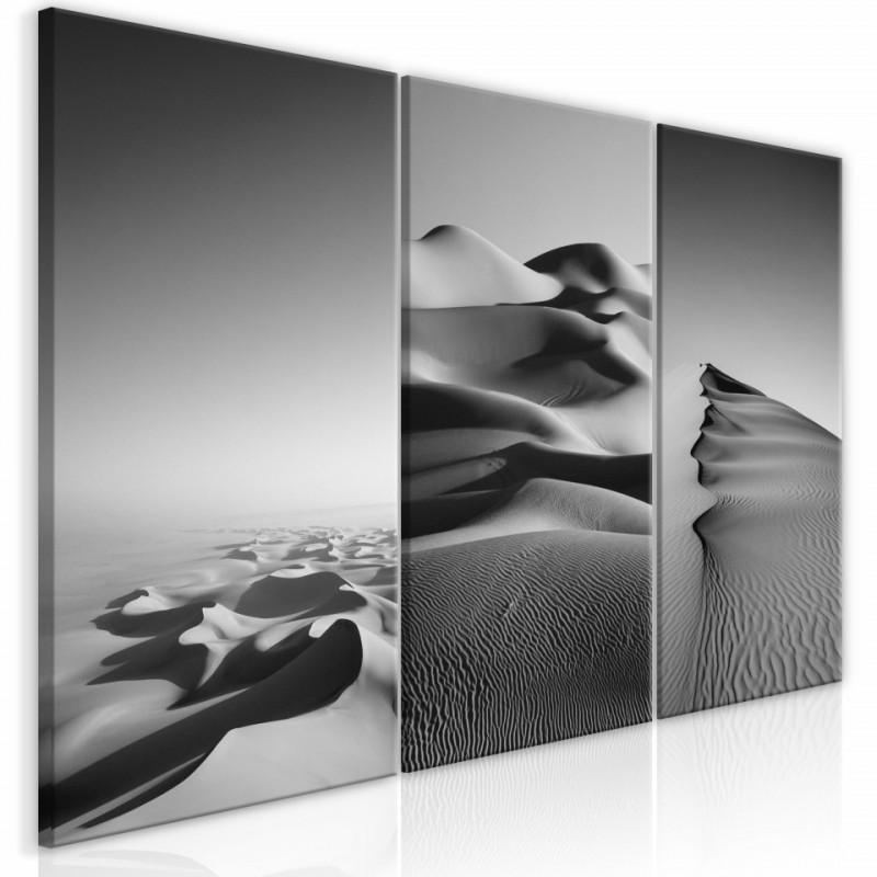 Tablou - Desert Landscape (Collection)