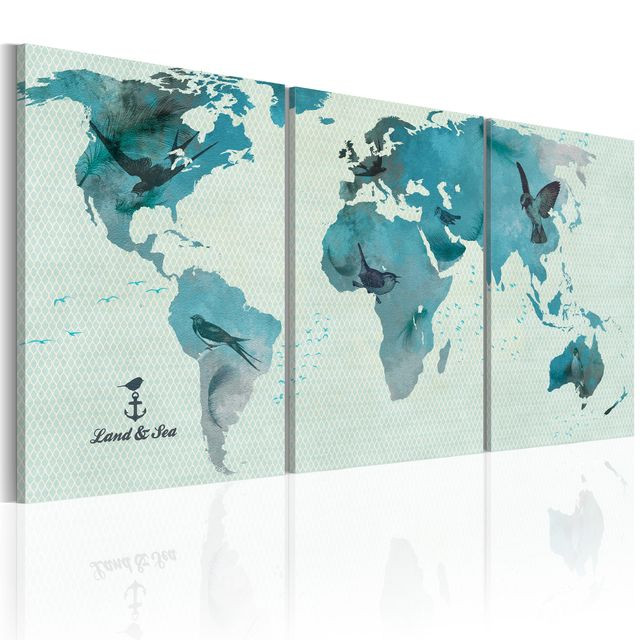 Tablou - Ornithological map of the World