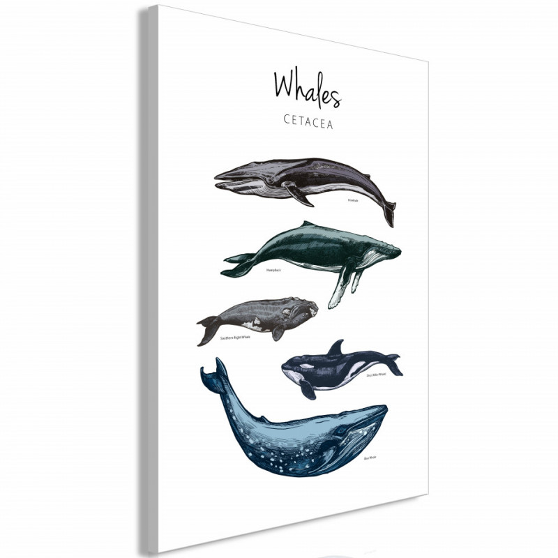 Tablou - Whales (1 Part) Vertical
