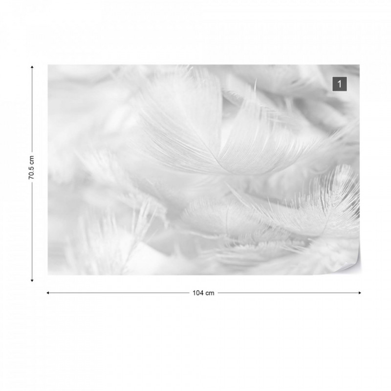 Feathers in Black &amp; White - Img 1