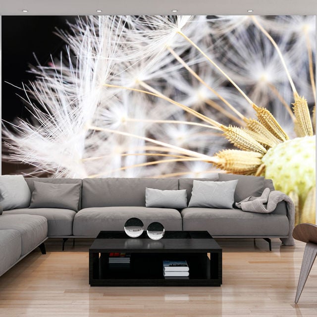 Fototapet - Fluffy dandelion