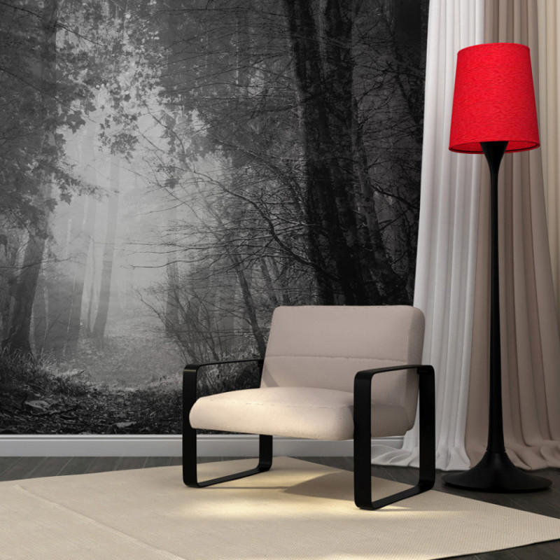 Fototapet - Forest of shadows