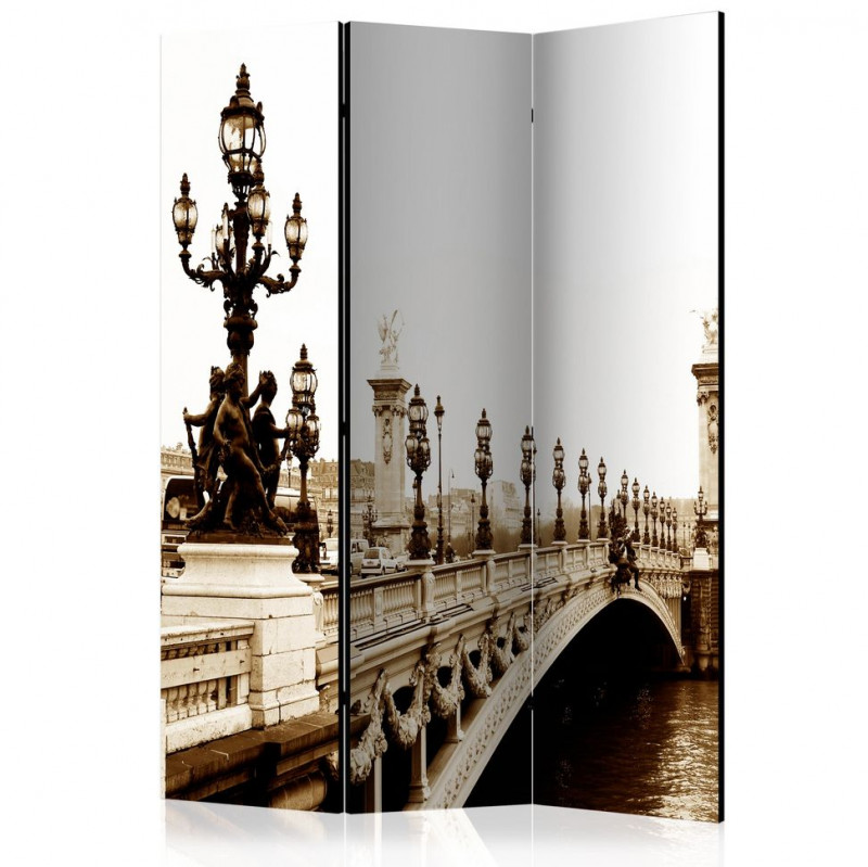 Paravan - Alexander III Bridge, Paris [Room Dividers]