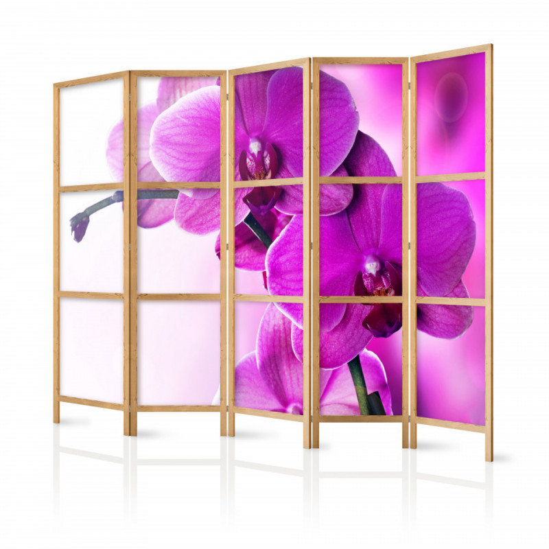 Paravan japonez - Violet Orchids II