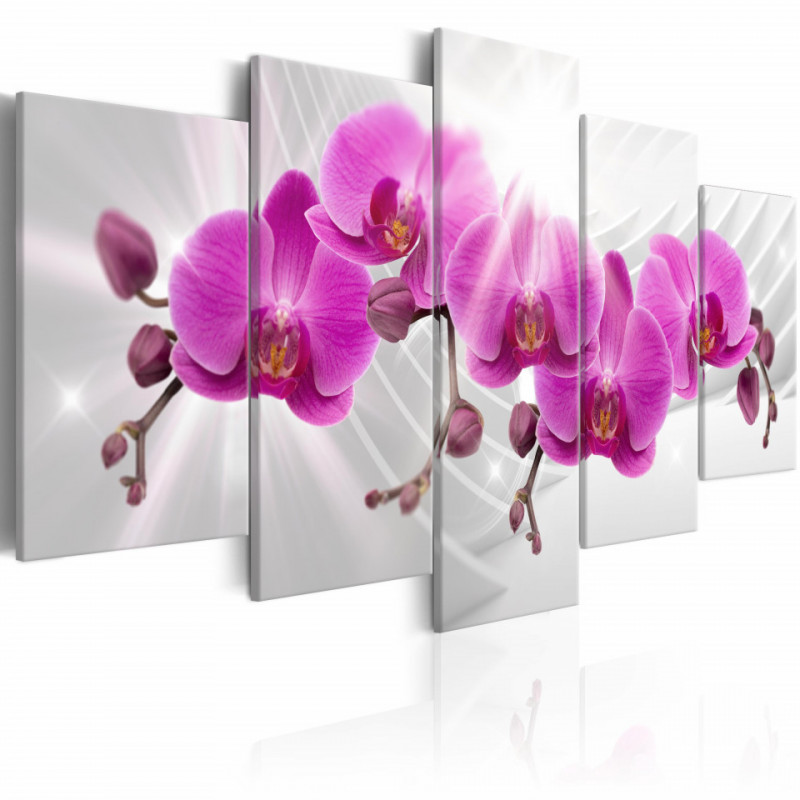 Tablou - Abstract Garden: Pink Orchids