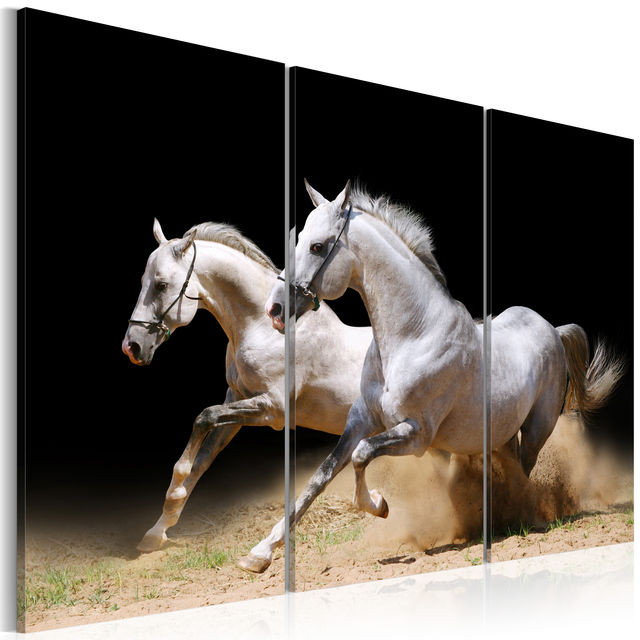 Tablou - Horses- power and velocity