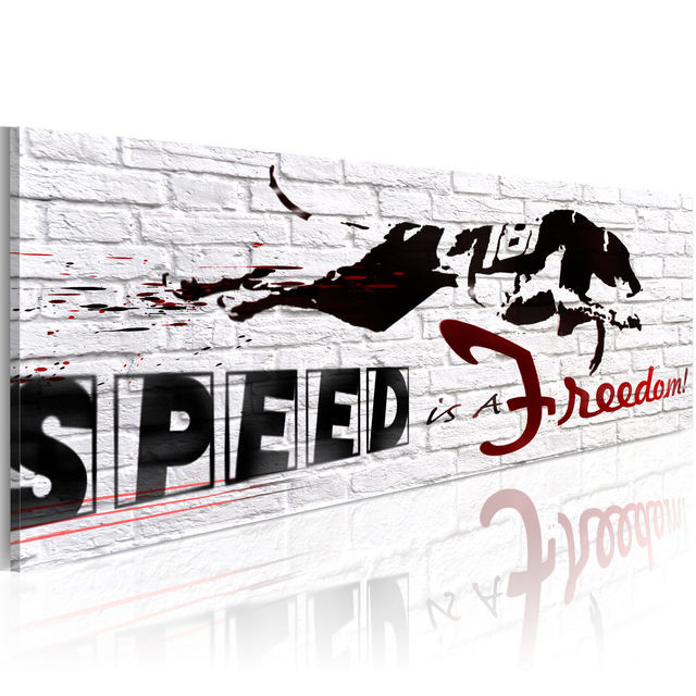 Tablou - Speed is freedom