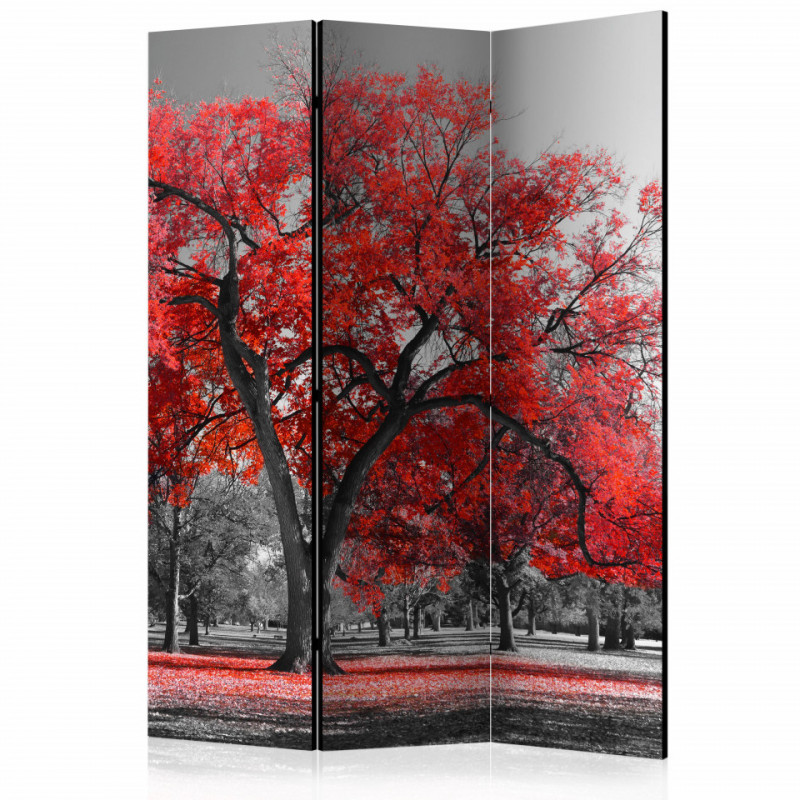 Paravan - Autumn in the Park [Room Dividers]