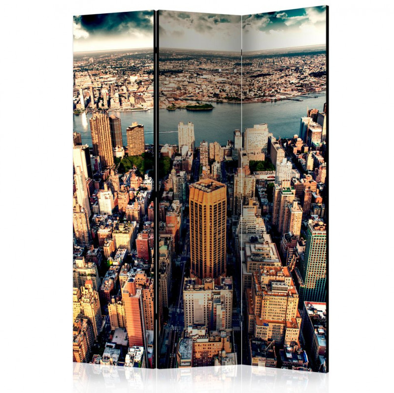 Paravan - Bird's Eye View of New York [Room Dividers]