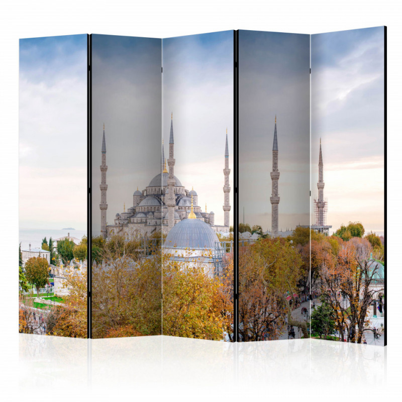 Paravan - Hagia Sophia - Istanbul II [Room Dividers]