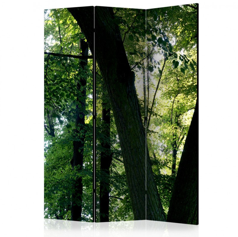 Paravan - Spring in the Park [Room Dividers]