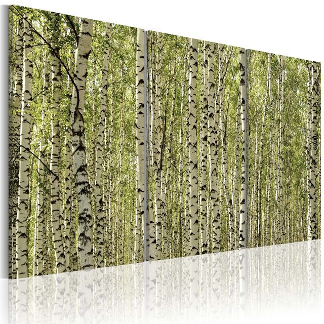 Tablou - A forest of birch trees