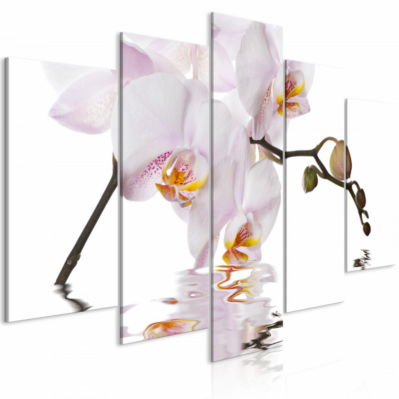 Tablou - Delightful Orchid (5 Parts) Wide