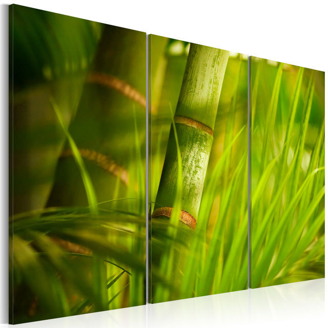 Tablou - Fresh green tropical grass