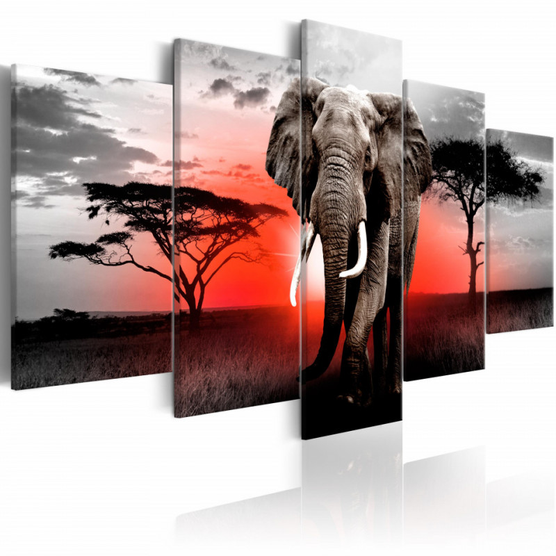 Tablou - Lonely Elephant