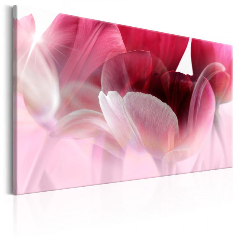 Tablou - Nature: Pink Tulips