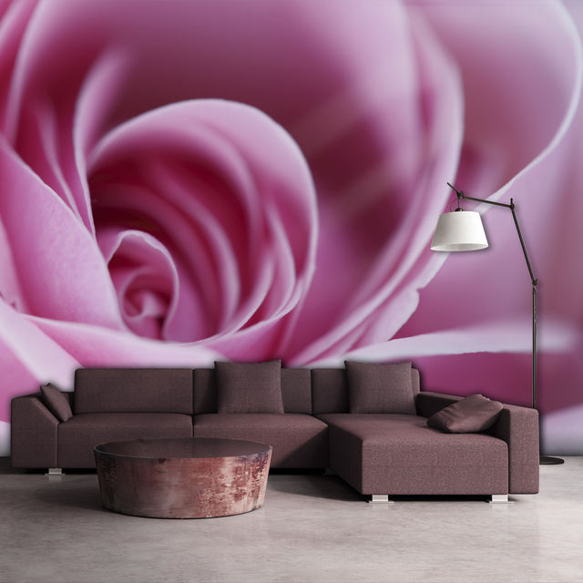 Fototapet - Pink rose