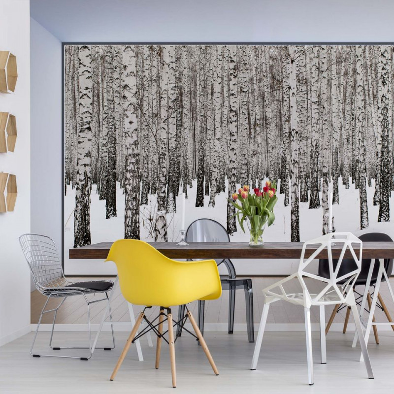 Penthouse View Birch Forest