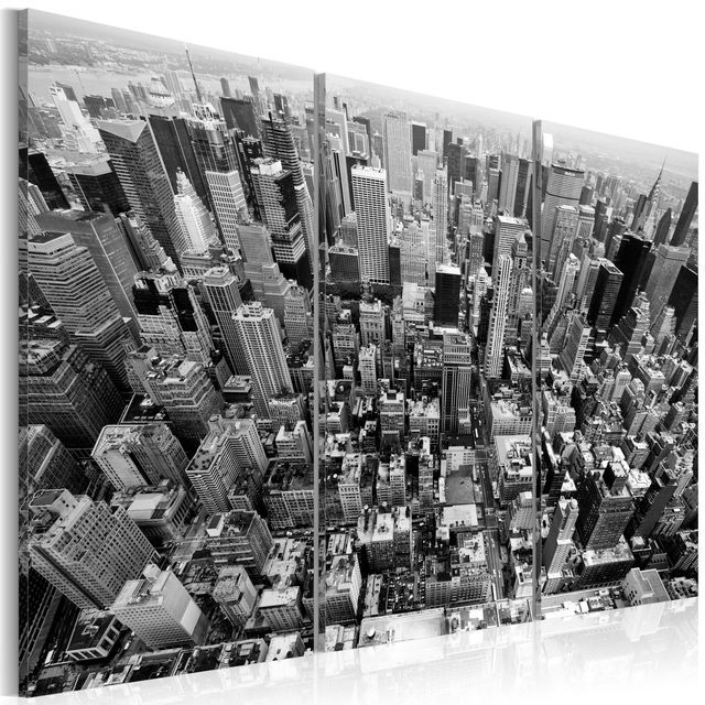 Tablou - A marvellous view on New York roofs