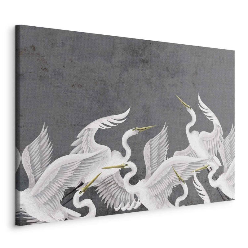 Tablou - Flutter of wings - white herons on dark grey textured background