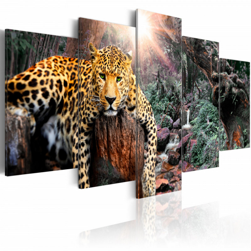 Tablou - Leopard Relaxation