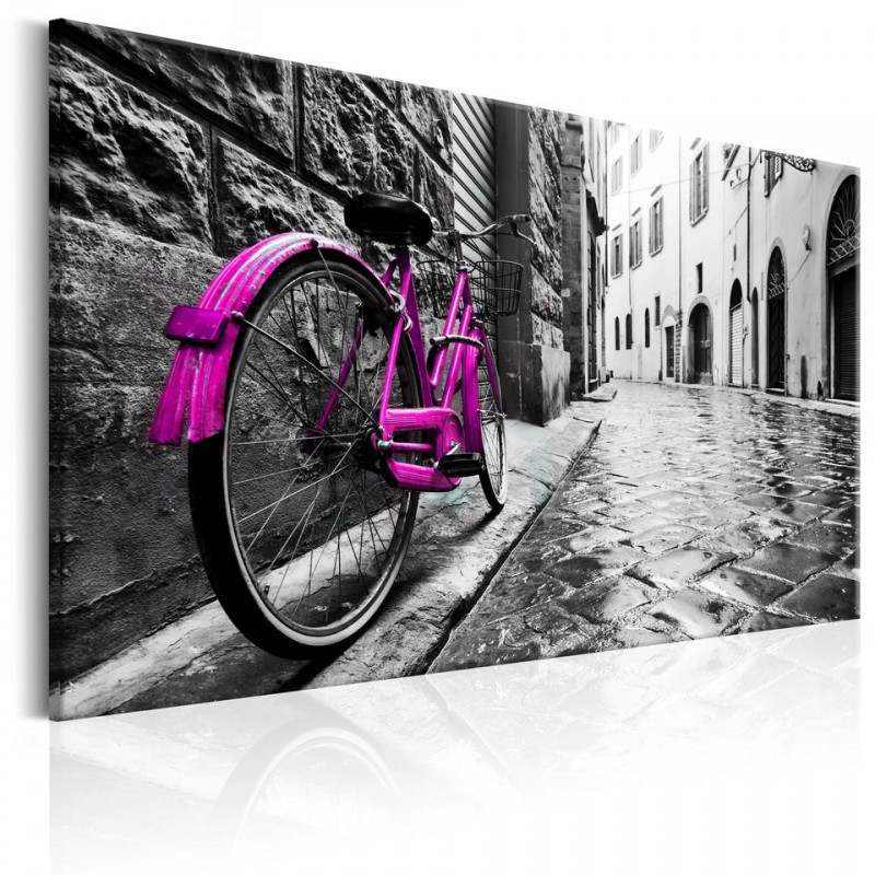 Tablou - Vintage Pink Bike