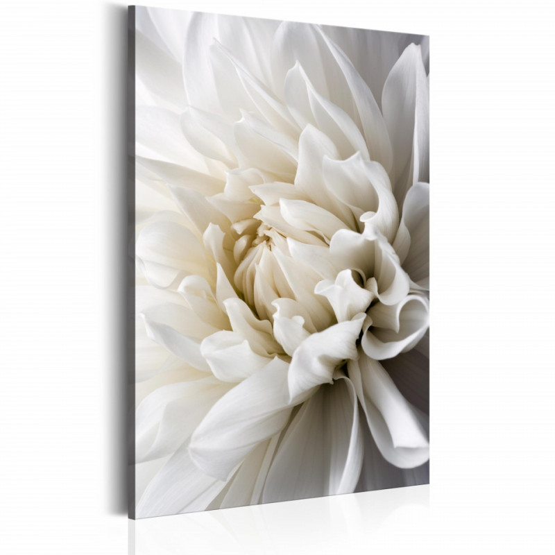 Tablou - White Dahlia