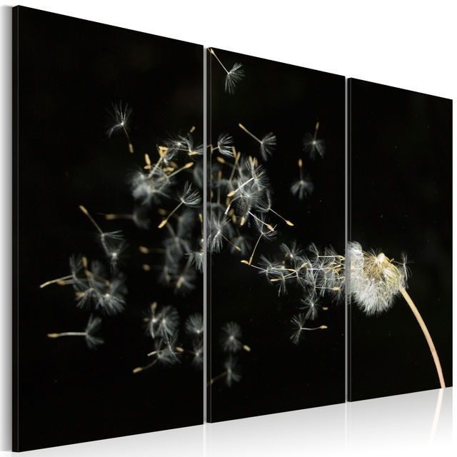 Tablou - Dandelions- the transience