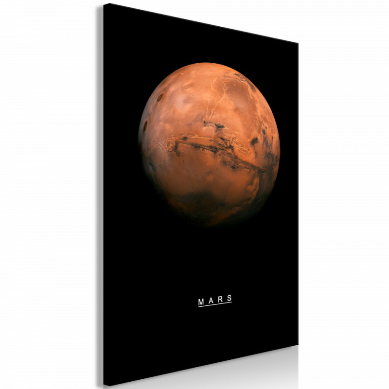Tablou - Mars (1 Part) Vertical