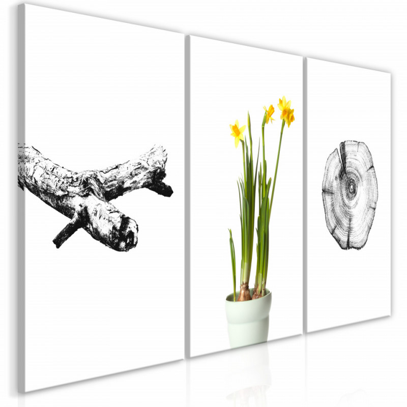 Tablou - Nature (Collection)