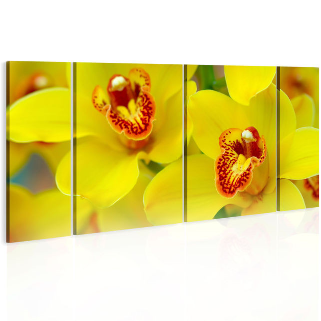 Tablou - Orchids - intensity of yellow color