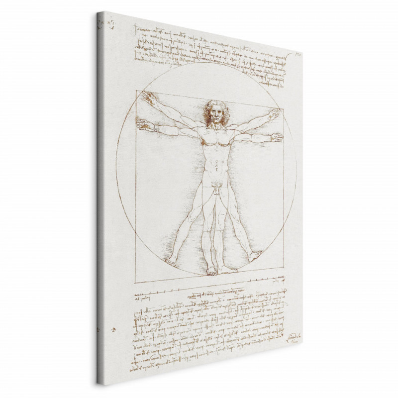Tablou - Vitruvian Man (Proportions of the human body according to Vitruvius)