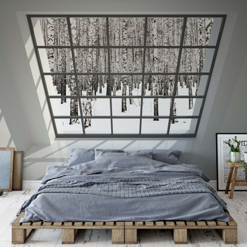 Penthouse Window Birch Forest View