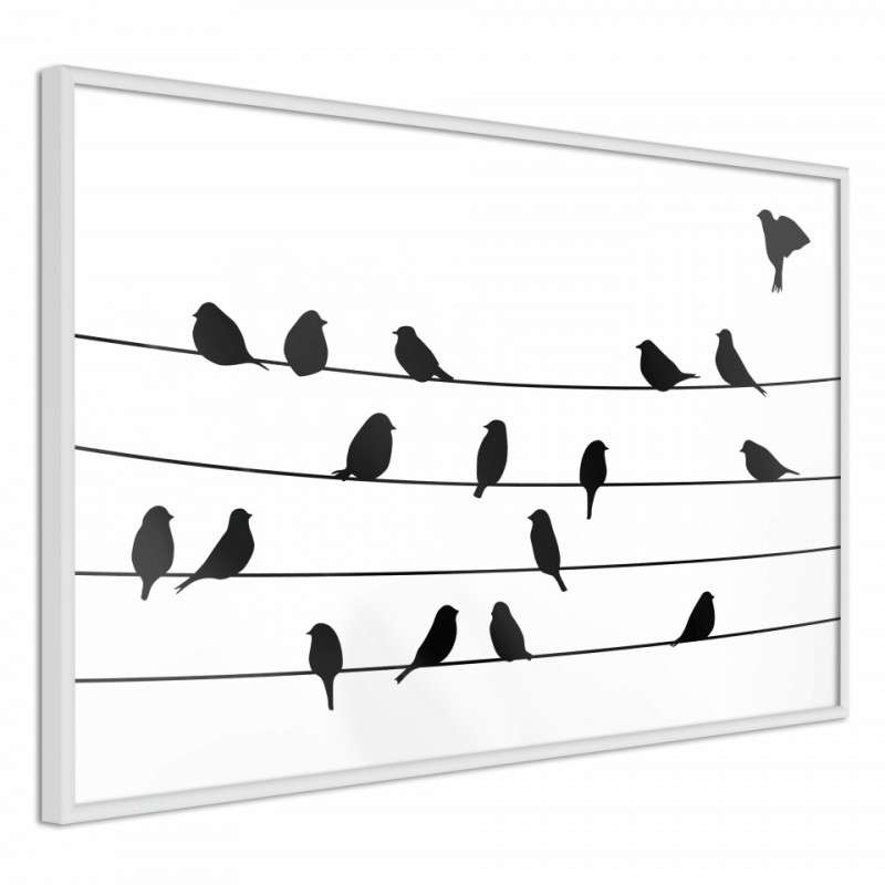 Poster - Birds Council Meeting
