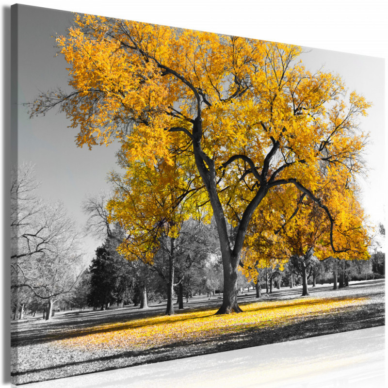 Tablou - Autumn in the Park (1 Part) Wide Gold