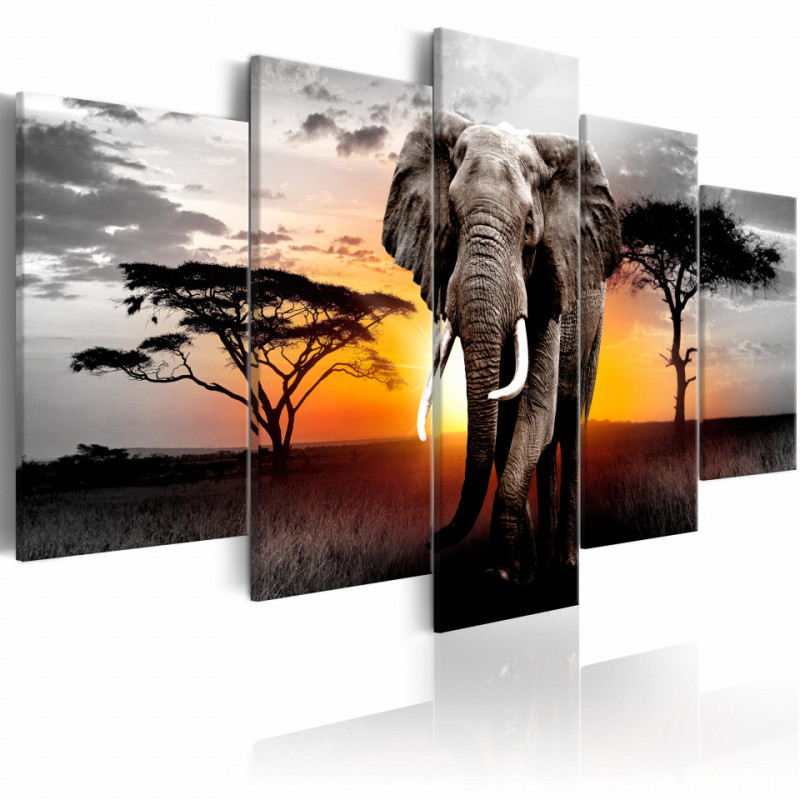 Tablou - Elephant at Sunset