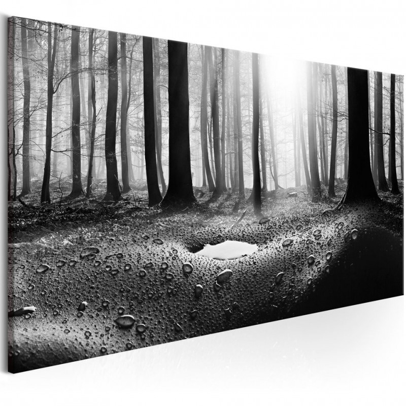 Tablou - Forest after Rain (1 Part) Narrow